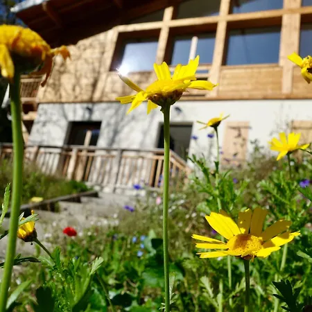 Le Des Chenes Chalet Les Houches
